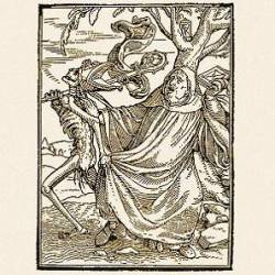 Umbra Noctis : Umbra Noctis - Gort